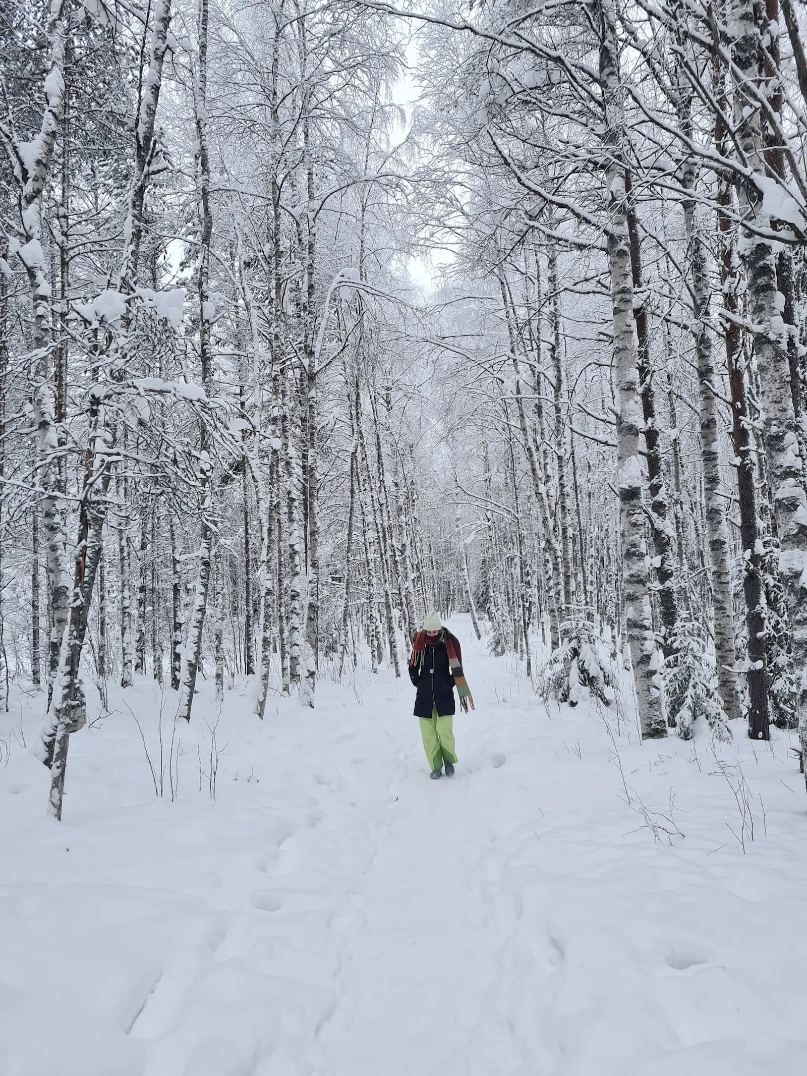 Nikolina Momcilovic walking through a snowy forest, symbolizing clarity and self-discovery in her holistic career coaching.